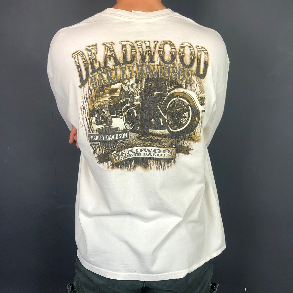 Vintage Harley Davidson Lightweight Sweatshirt / T-Shirt - Large