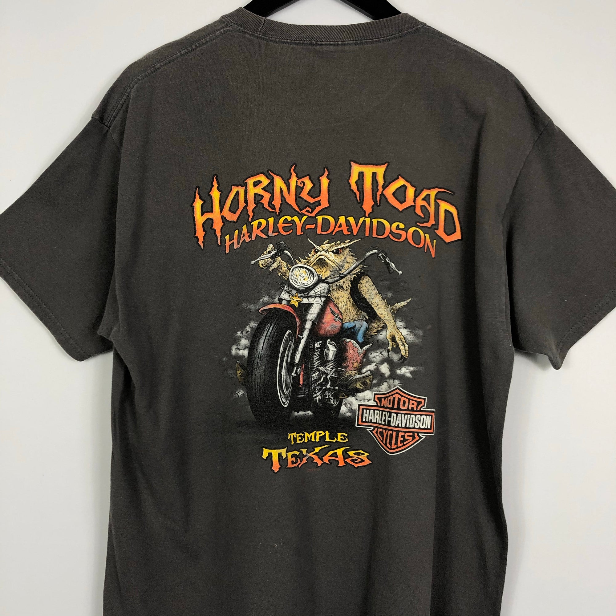 Vintage Harley Davidson ‘Horny Toad’ Tee - Large